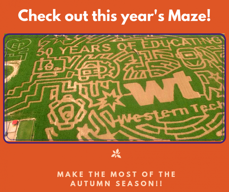 La Union Maze - Western Tech Night - Western Technical College